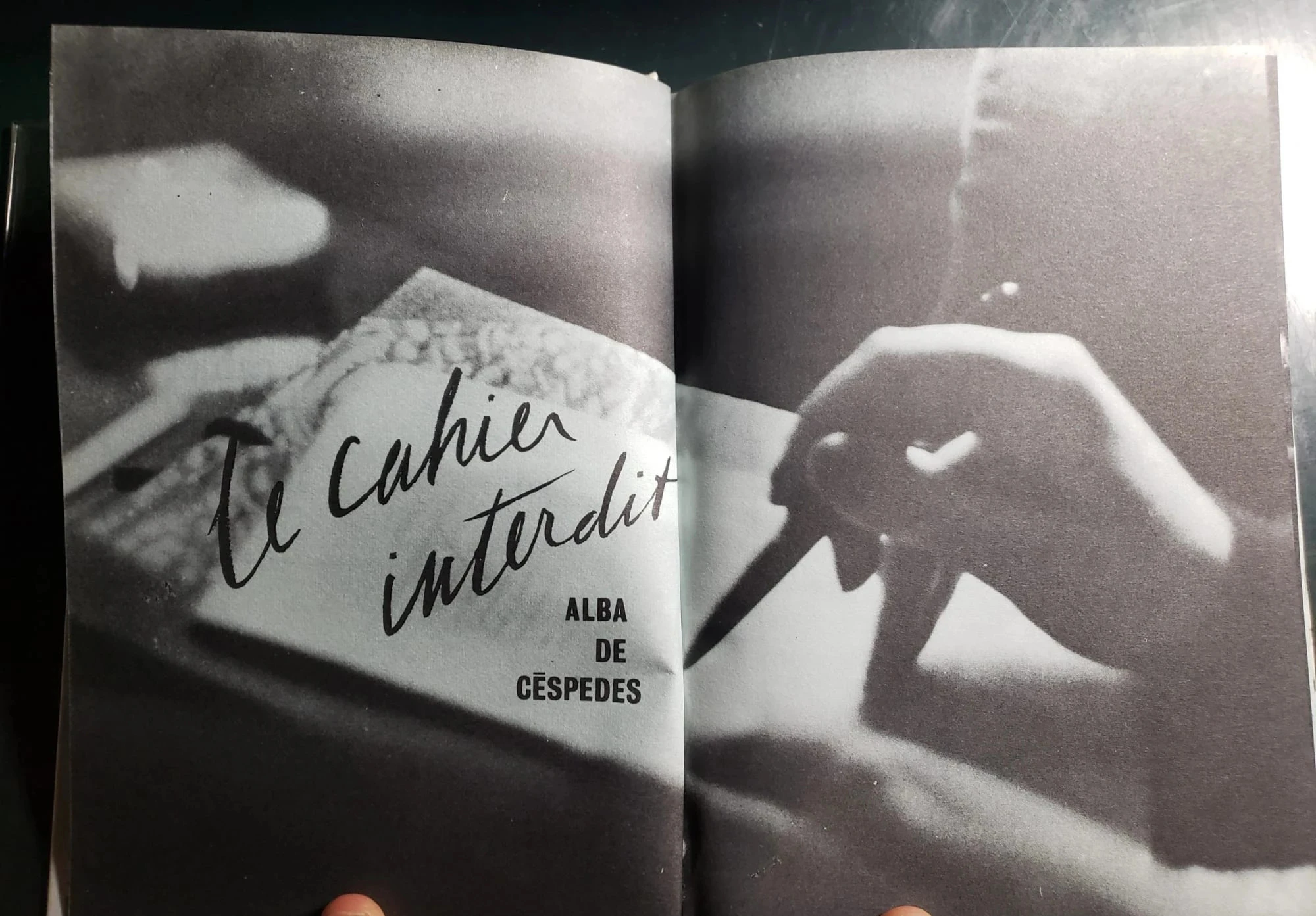 Het verboden notitieboek, door Alba de Cespedes – photo 2